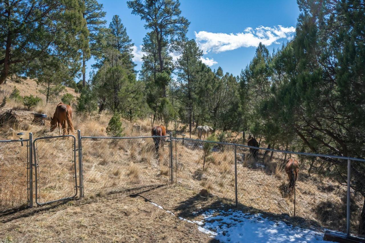 Howl At The Moon Villa Ruidoso Eksteriør bilde